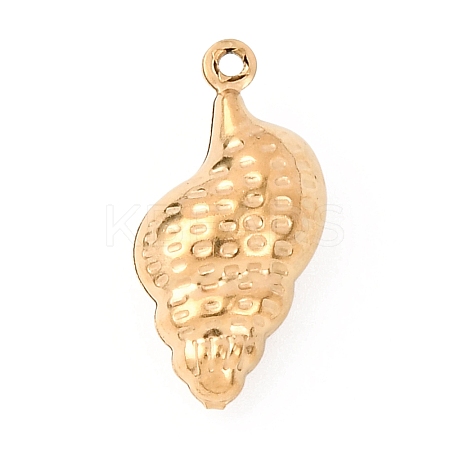 304 Stainless Steel Pendants STAS-D129-17C-G-1