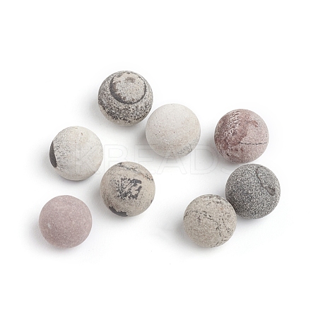 Natural Petrified Wood Beads G-I274-10-1