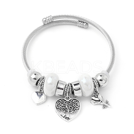 European Style Stainless Steel & Alloy Charm Bangles for Women PW-WG243C0-03-1