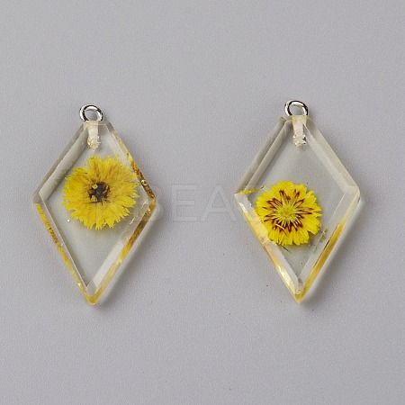 Transparent Clear Resin Pendants RESI-TAC0007-06E-1