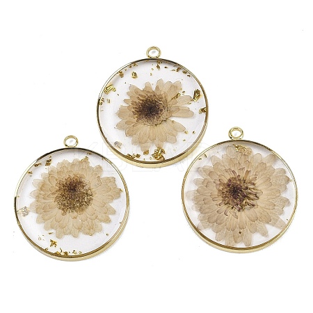 Transparent Clear Epoxy Resin Pendants RESI-XCP0002-33-1