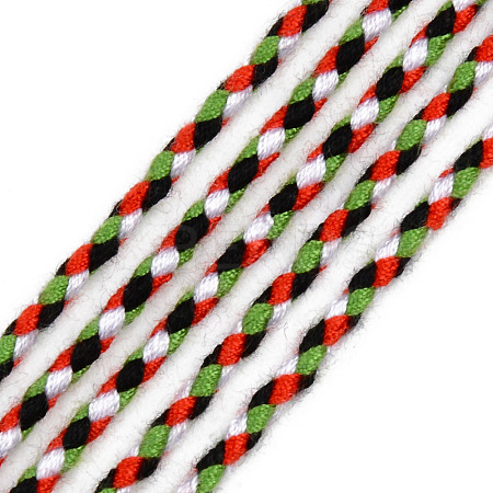 Polyester Braided Cords OCOR-T015-A14-1