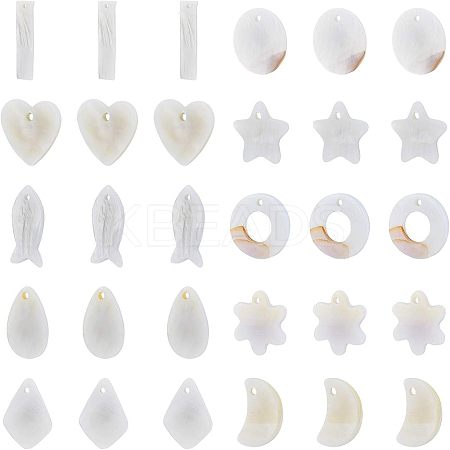 Natural Freshwater Shell Charms/Pendants SHEL-NB0001-03-1