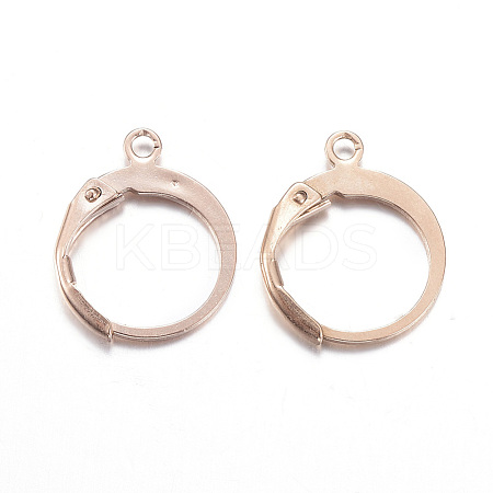 Ion Plating(IP) 304 Stainless Steel Leverback Earring Findings X-STAS-D167-55RG-1