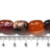 Natural Fire Crackle Agate(Dyed & Heated) Beads Strands G-H091-C01-01-4