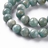 Natural Amazonite Beads Strands G-S333-10mm-005-3