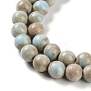 Natural Rainbow Alashan Agate Beads Strands G-NH0022-A07-02-4