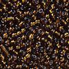 6/0 Glass Seed Beads SEED-US0003-4mm-53-2