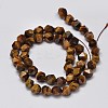 Faceted Natural Tiger Eye Beads Strands G-K066-01-8mm-2