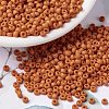 MIYUKI Round Rocailles Beads SEED-JP0009-RR2313-1