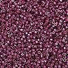 MIYUKI Delica Beads X-SEED-J020-DB1849-3