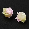 Luminous Resin Decoden Cabochons RESI-K036-51-2