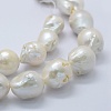 Natural Baroque Pearl Keshi Pearl Beads Strands PEAR-K004-18-3