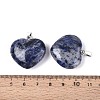 Natural Sodalite Pendants G-N349-05B-P-3