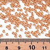 12/0 FGB Grade A Round Glass Seed Beads X-SEED-Q011-F501-3