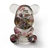 Resin Display Decorations DJEW-H001-B30-2