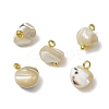 Natural Trochus Shell Nuggets Charms with Brass Loops PALLOY-JF03586-01-1