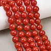 Natural Dyed White Jade Beads Strands GG-CBAEB22-B01-10mm-06-1