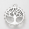 Tibetan Style Alloy Pendants TIBE-S310-031AS-LF-1