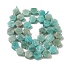 Natural Amazonite Beads Strands G-P534-A07-02-3