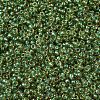 MIYUKI Round Rocailles Beads SEED-G007-RR0375-3