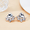 2 Pairs Rhinestone Teardrop Stud Earrings EJEW-LP0001-22B-3