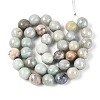 Natural Agate Beads Strands G-N326-76D-2