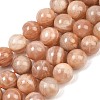 Natural Sunstone Beads Strands G-G342-A02-10.5mm-2
