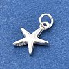 925 Sterling Silver Charms STER-Q003-01C-S-2