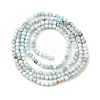 Natural Larimar Beads Strands G-G259-D13-2mm-3