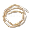 Natural Trochus Shell Beads PEAR-B002-01B-B-2
