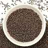 TOHO 6/0 Demi Round Beads Y-SEED-DR06-0204-4