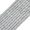 Opaque Glass Beads Strands GLAA-Z018-D19-1