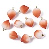 Opaque Resin Pendants RESI-T051-09B-1