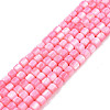 Natural Freshwater Shell Beads Strands X-SHEL-N003-33-A09-1