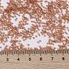 MIYUKI Round Rocailles Beads X-SEED-G009-RR0553-4