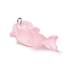 Sea Animal Theme Opaque Resin Pendants LS-X-RESI-D071-04C-2