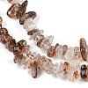 Natural Black Gold Rutilated Quartz Beads Strands G-G905-20-3