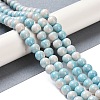 Baking Paint Glass Bead Strands LS-GLAA-H031-01B-10-5