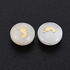 Natural Freshwater Shell Beads SHEL-S278-054-3