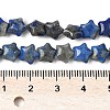 Natural Lapis Lazuli Star Beads Strands G-Z080-A05-5