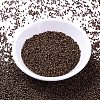 MIYUKI Delica Beads SEED-J020-DB1051-2