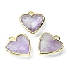 Natural Amethyst Pendants G-O204-01B-1