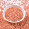 MIYUKI Round Rocailles Beads X-SEED-G009-RR4462-2