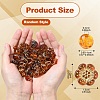 75Pcs 15 Styles Imitation Amber Transparent Acrylic Beads DIY-YW0010-22-3