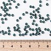 MIYUKI Round Rocailles Beads X-SEED-G008-RR0362-4
