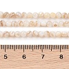 Natural Freshwater Shell Beads Strands SHEL-T011-02-3mm-4