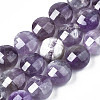 Natural Amethyst Beads Strands G-S359-371-1