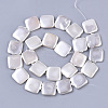 Shell Pearl Beads Strands SSHEL-T011-04A-2