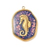 304 Stainless Steel Epoxy Resin with Natural Shell and Sequins Inside Pendants STAS-L026-17G-M04-1